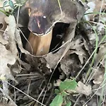 Malvetum Bed & Breakfast