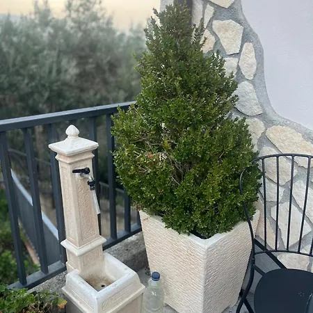 Nocleg ze śniadaniem Malvetum