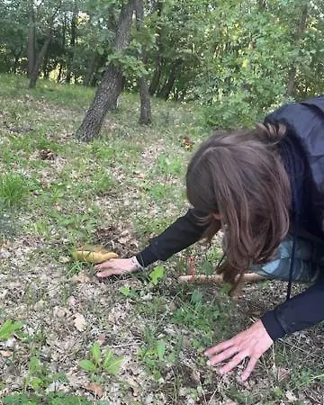 Malvetum Frühstückspension Malvito