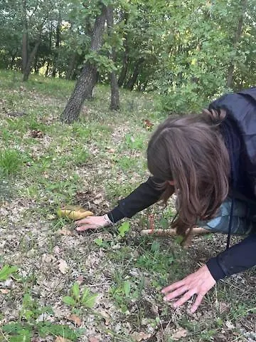 Malvetum לינה וארוחת בוקר Malvito